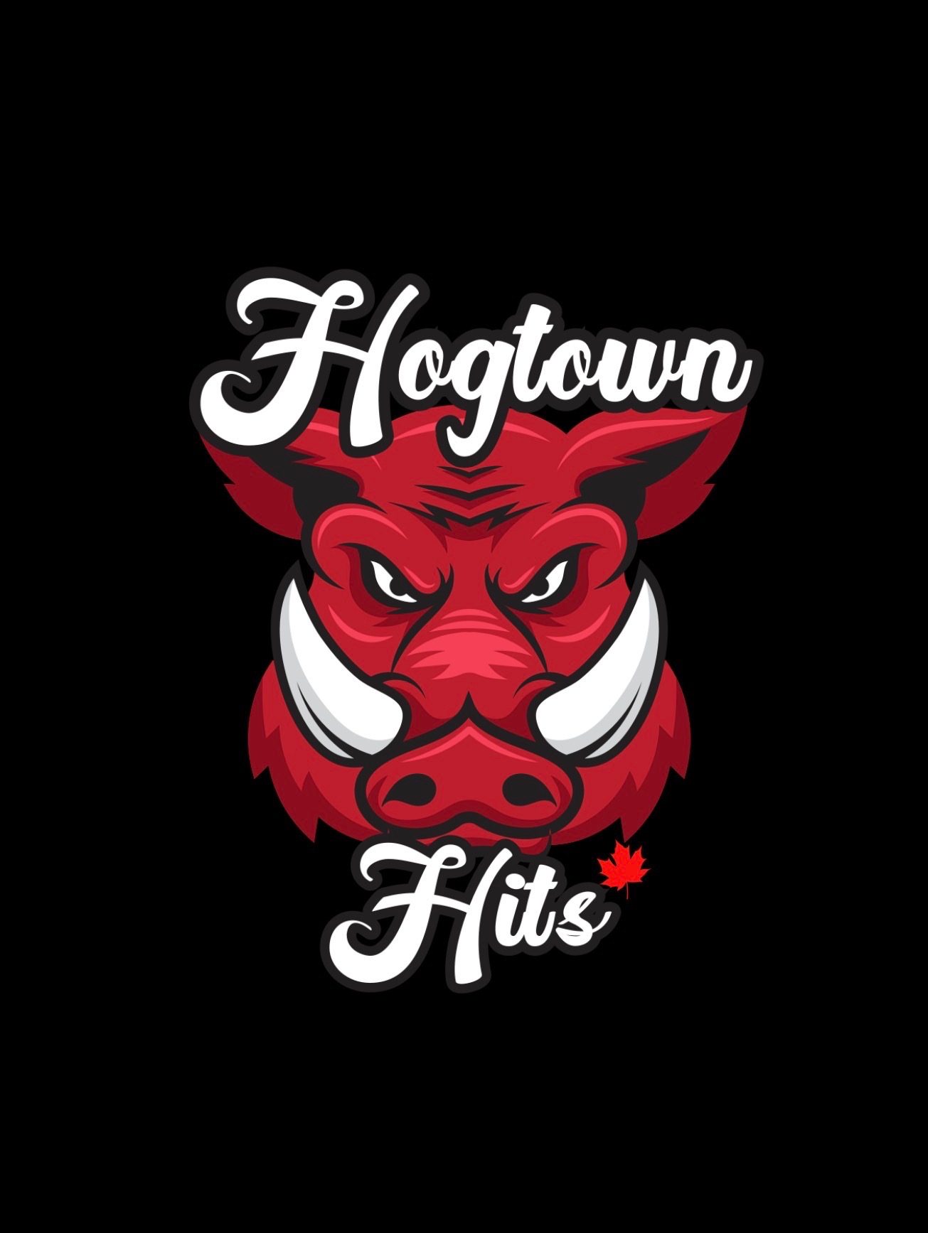 HOGTOWN HITS BREAK #1 